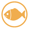 May contain Fish May contain Fish